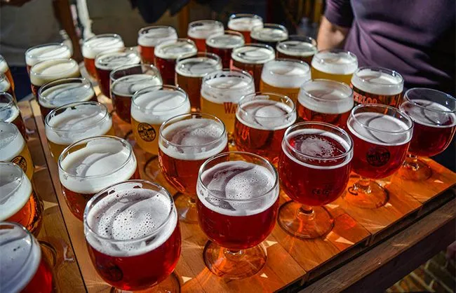 A Guide to the Different Types of Beers You Need to Try